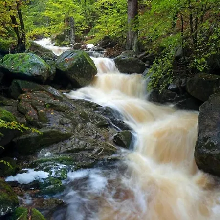 Дом отдыха Classic In The Harz Mountains Ильзенбург