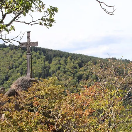 Familienspass & Waldwege In * Ilsenburg (Harz)