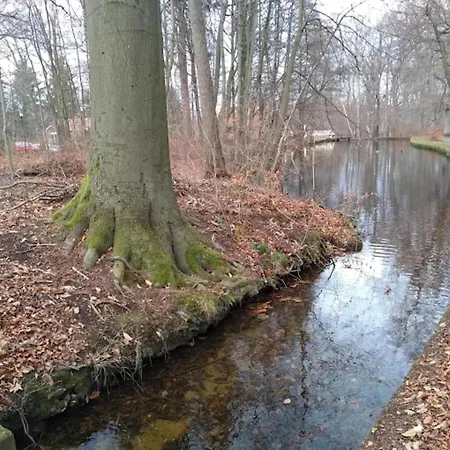 Hébergement de vacances Familienspass & Waldwege In