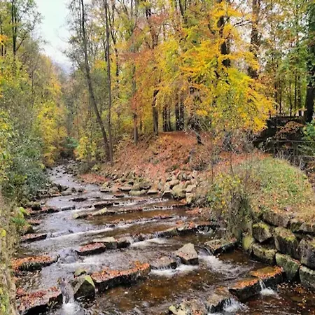 Familienspass & Waldwege In *