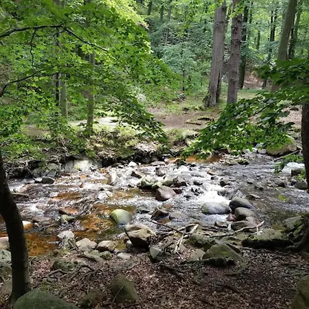 Familienspass & Waldwege In Ilsenburg Holiday home *