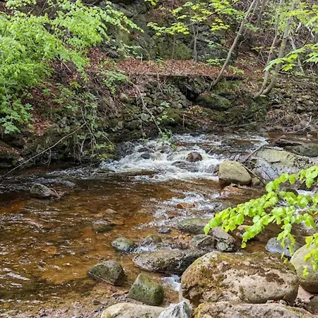 Hébergement de vacances Familienspass & Waldwege In Ilsenburg