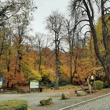 Dom wakacyjny Familienspass & Waldwege In Ilsenburg