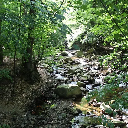 Familienspass & Waldwege In * Ilsenburg (Harz)
