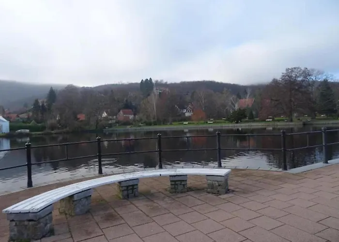 Familienspass & Waldwege In * 일젠부르크