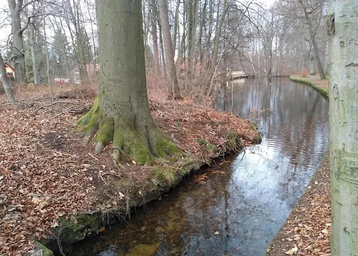 펜션 Familienspass & Waldwege In