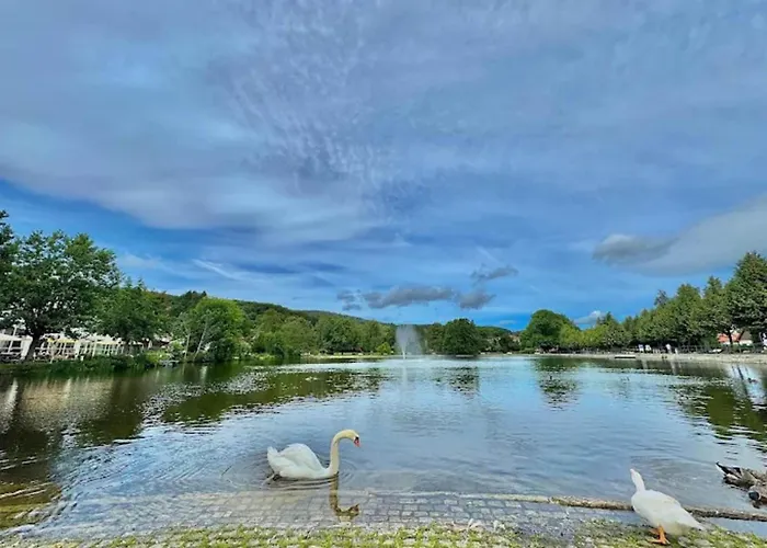 Familienspass & Waldwege In * Ilsenburg