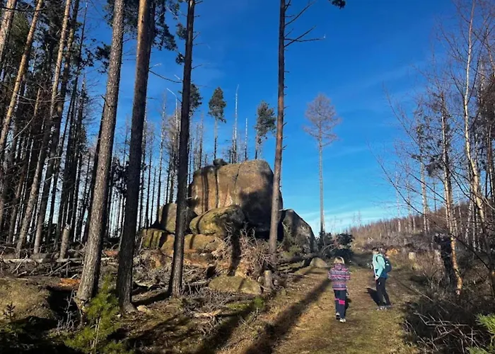 Familienspass & Waldwege In Ilsenburg Holiday home