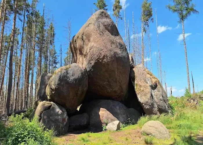 Holiday home Familienspass & Waldwege In Ilsenburg Ilsenburg