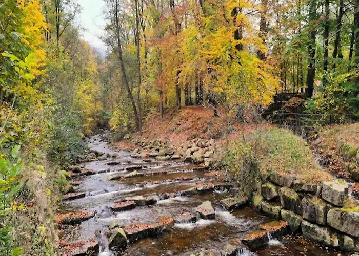 Familienspass & Waldwege In Ilsenburg *