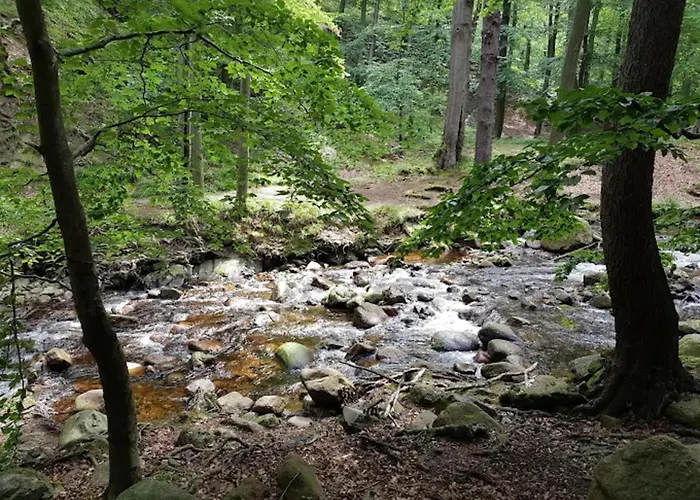 Familienspass & Waldwege In 펜션 *