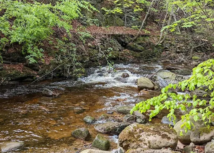 Holiday home Familienspass & Waldwege In Ilsenburg Ilsenburg