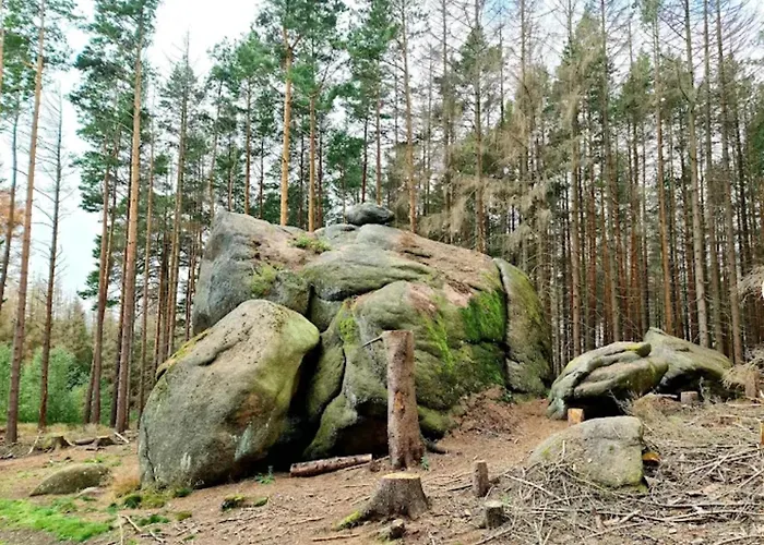 Holiday home Familienspass & Waldwege In Ilsenburg