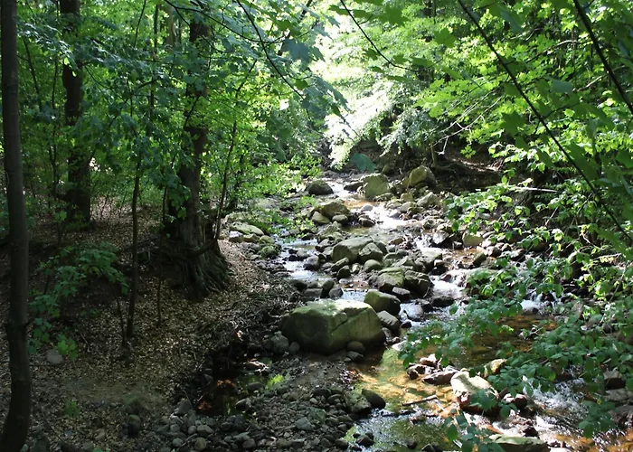 Familienspass & Waldwege In * Ilsenburg